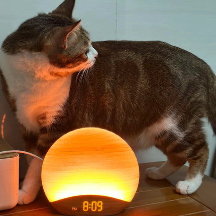 Puinen herätysvalo luonnonäänillä